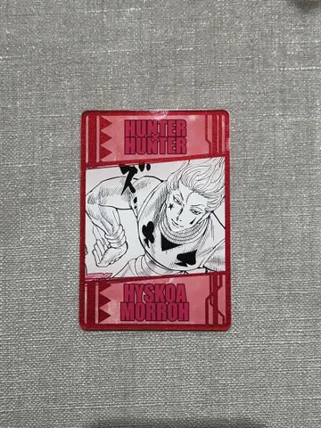 HUNTER x HUNTER 히소카 염능력 카드