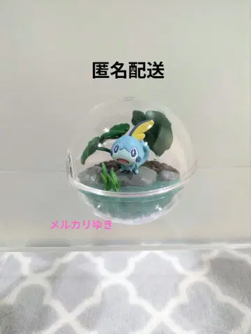 포켓몬 테라리움 메 리멘트