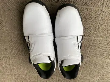 골프 신발 24.5cm 3E 브리지스톤 제로 스파이크 바이터 투어