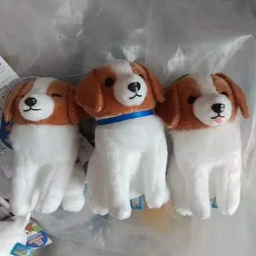 코이켈혼디예 오데코짱 앉아 2