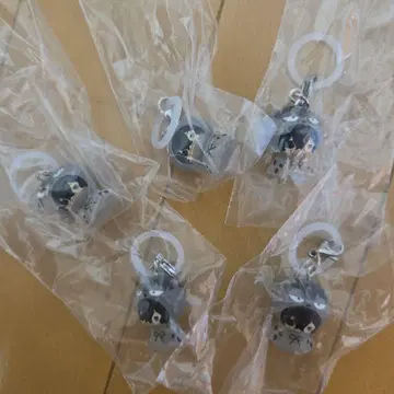 히로아카 기념 액세서리 동물 버전 상자