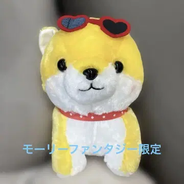 마루타마 콩 시바 삼형제 여름 벚꽃 신품 태그 부착