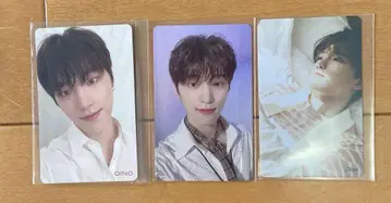 SEVENTEEN 세븐틴 디노 hmv 트레이딩 카드 세트