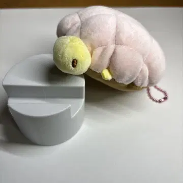 수족관 카멜론빵 인형 카멜론빵 사진 여러 장 있습니다