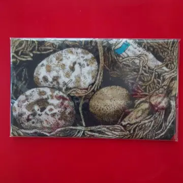 히구치 유코 씨  보리스 잡화점  수건  새 둥지 미개봉
