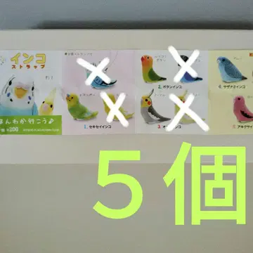 앵무새 스트랩 5개 세트