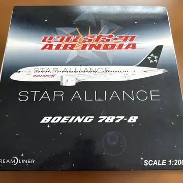 B787-8 모델 에어 인디아 스타 얼라이언스 특별 도장기