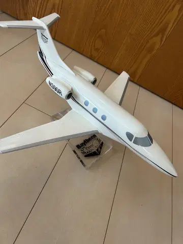 레이시온 N390R 모델 1/100
