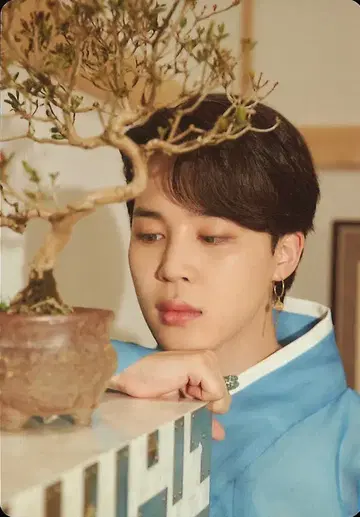 BTS 미니 포토 카드 JIMIN 2021 DALMAJUNG 34/56
