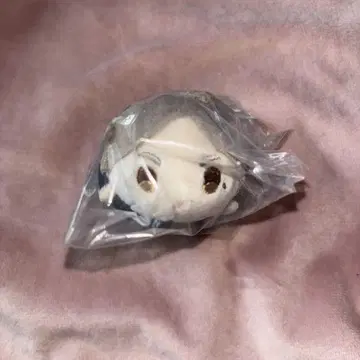 하이큐 모찌마스 미니 스가와라