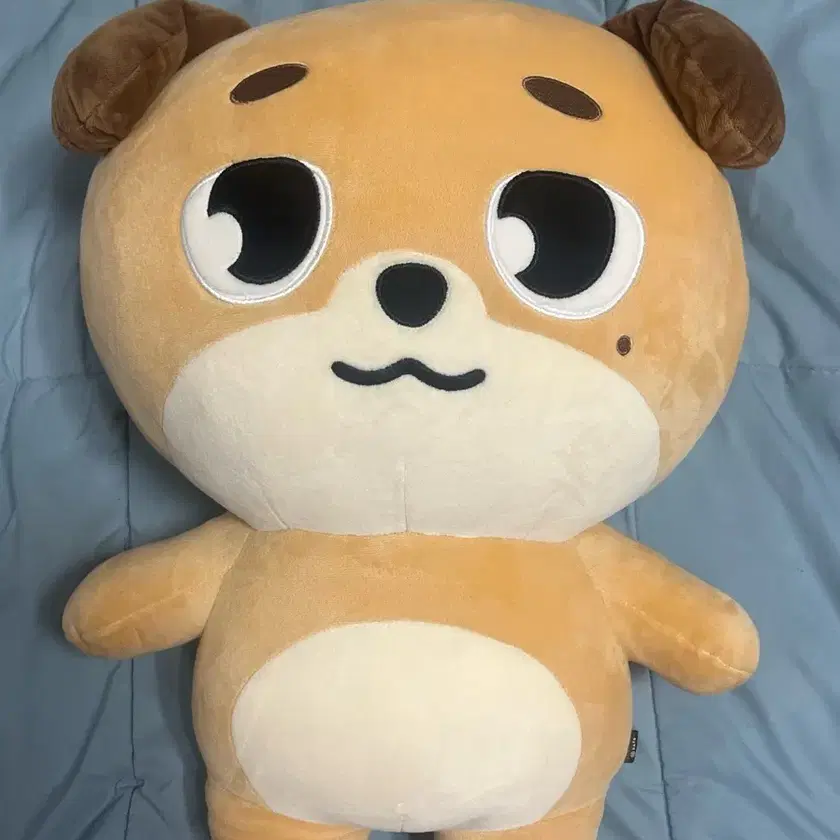 DAY6 DENIMALZ DON デニマルズ　ドウン DAY6 DENIMALZ DON デニマルズ ドウン DAY6（デイシックス