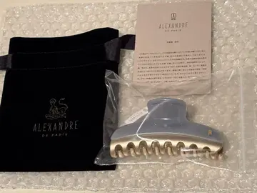 ALEXANDRE DE PARIS VENDEOME ss 2025 그레이