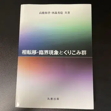 상전이 임계 현상과 재규격화군