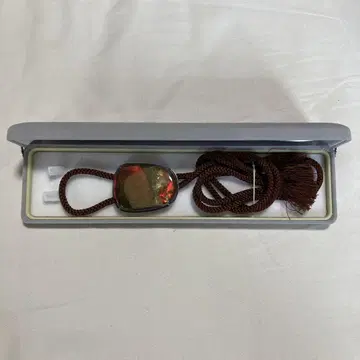 루프 타이 암모나이트 화석