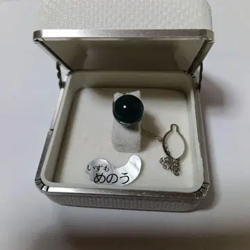 이즈모메노우 타이타크