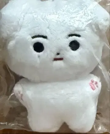 ENHYPEN 성훈 봉제 인형