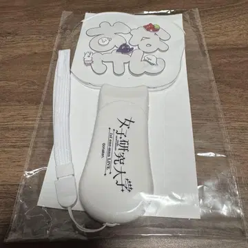 여자 연구 대학 여자 연구 1st 단독 콘서트 펜라이트