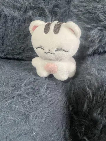 조슈아  10cm SEVENTEEN