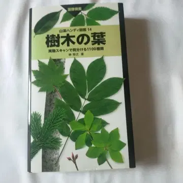 나무의 잎 : 실물 스캔으로 구분하는 1,100종 : 이미지 검색