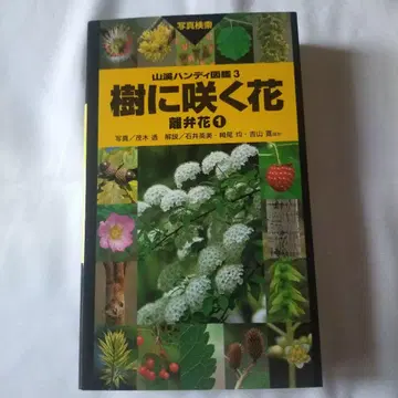 나무에 피는 꽃, 이별꽃 1