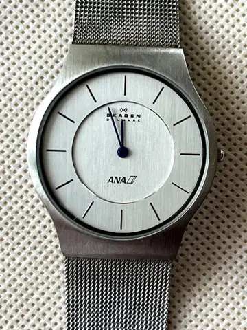 SKAGEN ANA 시계 프리 어댑트 한정 모델