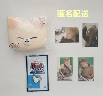스트레이키즈 SKZOO 미니 박스 키링 스티커 아이엔