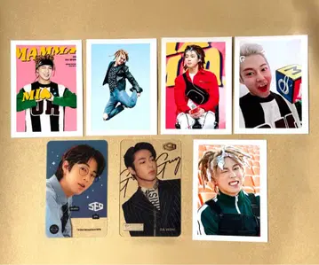 다원 트레카