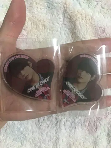 에비라 개최 이벤트 원엔 TETTA 마그넷 2점