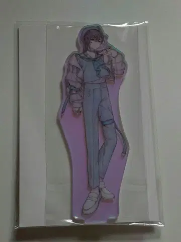 ChroNoiR 뉴 레트로 스타일 오로라 아크릴 스탠드 엽