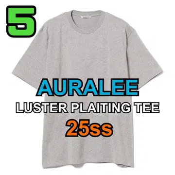 AURALEE LUSTER PLAITING TEE 5 오라리 GRAY