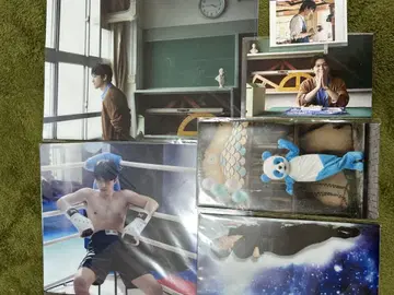 요시자와 리 마스크 케이스 클리어 파일