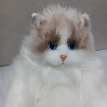 라그돌 인형 배낭