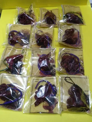 요괴 네츠케 백귀야행 요괴 컬렉션 음의 권 해양당 풀타 제과 12종