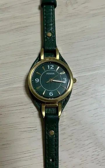 FOSSIL 손목시계 CARLIE ES5241 여성용 그린