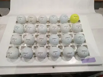 타이틀리스트 pro v1 로스트볼 24구