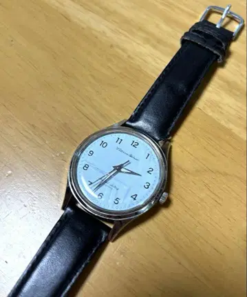 몬테츠 Citizen Citizen Homer 작동품