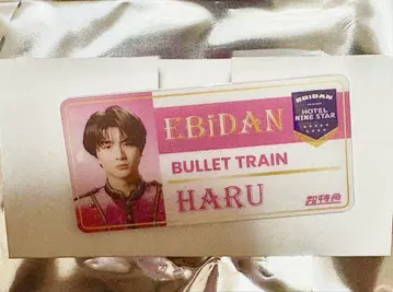 EBiDAN THE LIVE 2025 이름 배지 에비라이 초특급 할