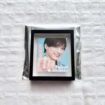 후쿠모토 타이세이 프레임 마그넷