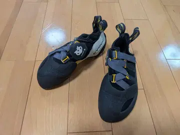 이볼브 샤먼 프로 US 7.0/25.0cm