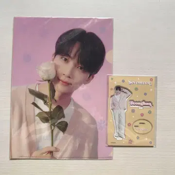 Seventeen 세븐틴 정한 hanabi