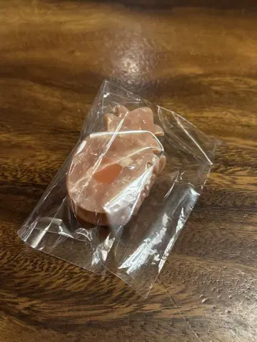 하와이 호놀룰루 쿠키 헤어 클립 구아바 모티브 핑크
