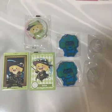 컬러풀 피치 시바