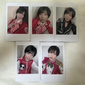 팬더드래곤  해피카