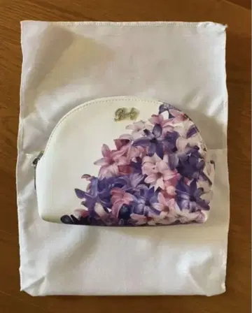 라디 포치
