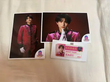 [ 3세트 ] 초특급 하루 에비라이 네임 배지 브로마이드