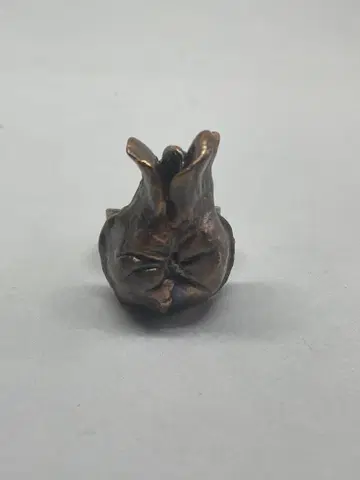 비카쿠시다 스퍼바움 링