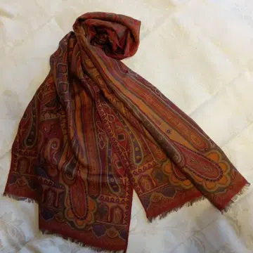 ETRO 스톨 다색 장식