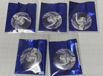 FGO 페스티벌 Fes. 2025 영기 소환 캔 배지 원위조