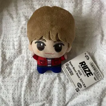 RIIZE Boom Boom Bass 미니 인형 은석