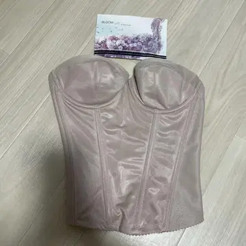 브라이덜 이너 D65 베이지 코르셋